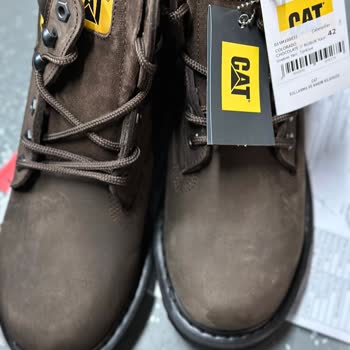 Yeşil Kundura Cat Bot Hayal Kırıklığı