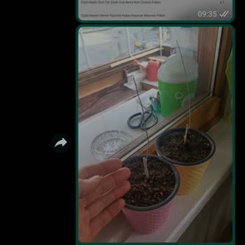 Floramut Flora Mut Sitesi