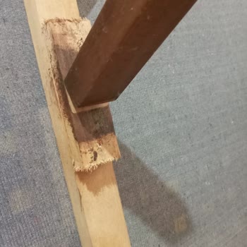 Engince Mobilyanın Satış Sonrası İlgisizliği