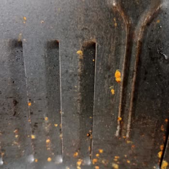 Kumtel Airfray Pişirme Haznesi Küflenmesi