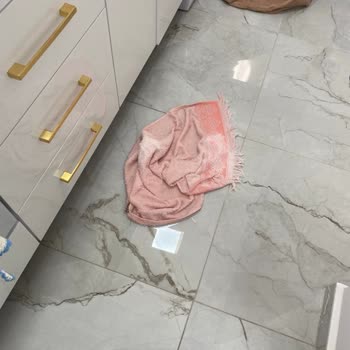 Hoover Su Basması Ve Ses Şikayeti