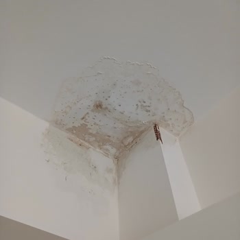 Başakkent Gölet Konutları Site Yönetimi İlgisiz