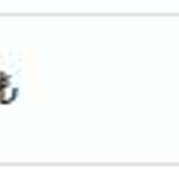 Shipy Paramı Ödemiyor, Destek Taleplerine Cevap Vermiyor