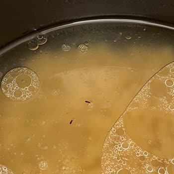 Filiz Makarna Paket Makarnada Böcek Sorunu