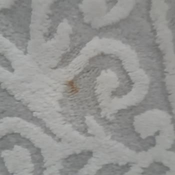 Onur Halı Yıkama (Mamak) Mağduriyet Yaşama