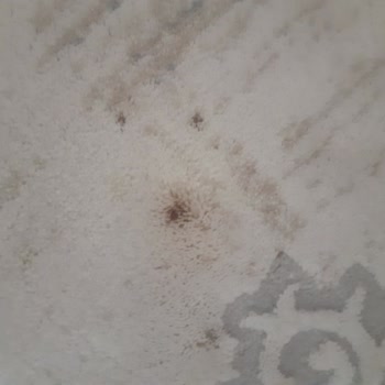 Onur Halı Yıkama (Mamak) Mağduriyet Yaşama