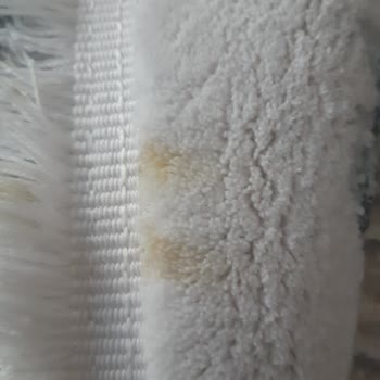 Onur Halı Yıkama (Mamak) Mağduriyet Yaşama