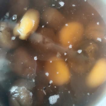 A101 Çerezya Marka Kuru Kayısı Ve Gün Kurusundan Kurt Çıktı