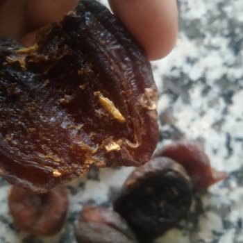 Çerezya Marka Kuru Kayısı Ve Gün Kurusunun İçinden Kurt Çıktı