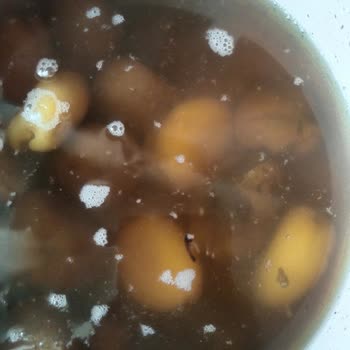 Çerezya Marka Kuru Kayısı Ve Gün Kurusunun İçinden Kurt Çıktı