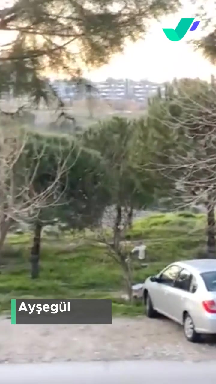 Denizli Karapınar Caddesindeki Dere Kenarı Pislik İçinde, Ağaçlar Budansın videonun kapak resmi