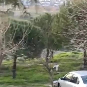 Denizli Karapınar Caddesindeki Dere Kenarı Pislik İçinde, Ağaçlar Budansın