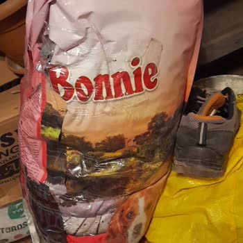 Bonnie PTT Kargonun Aymazlığı