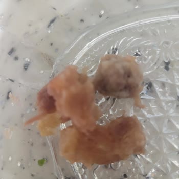 Akşeker Tarım Et Entegre Tesisleri Kalitesiz Kavurma Hayal Kırıklığı