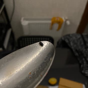 Zelkemiksuyu.com İşkembe Çorbasında Böcek Şoku