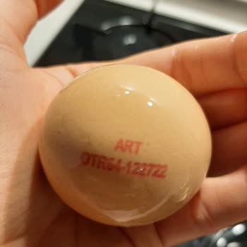 Art Organik Ürünler Organik M Yumurta S Çıktı