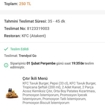 KFC Buz Gibi Patates Ve Sert Tavuk