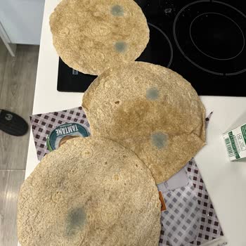 Migros Hemen Küflü Sipariş