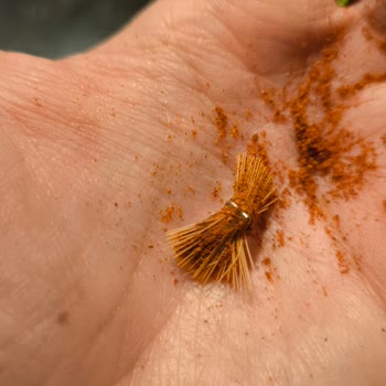 Migros Bağdat Baharat Acı Toz Biberden Yabancı Cisim Çıktı