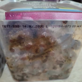 Tukaş Bozuk Küflü Zeytin