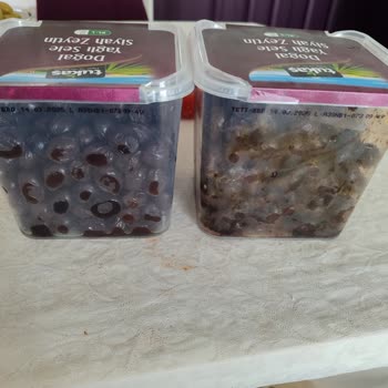 Tukaş Bozuk Küflü Zeytin