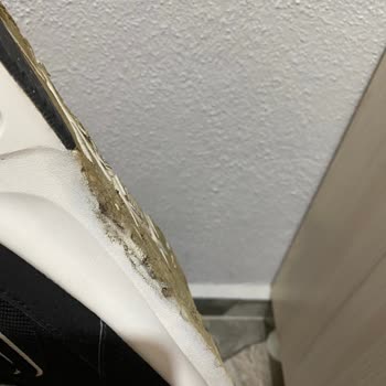 Skechers Does Not Care About Its Customers