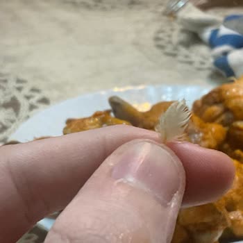 Erpiliç - Tavuk Tüyü Çıktı (Erpiliç Soslu Kanat 350mg)