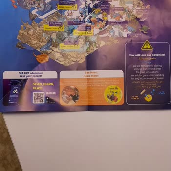 Forum İstanbul AVM Akvaryumun En Güzel Yerleri Kapalı Geri Kalanı Görülmese De Olur.