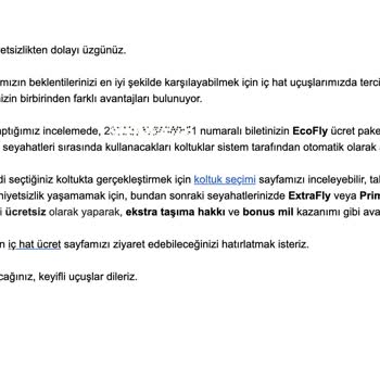 THY 6 Yaşındaki Yolcusunu Annesinin Yanına Oturtmak İçin Para İstiyor