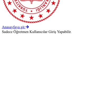 e-Devlet (Turkiye.gov.tr) Üzerinden Giriş Yapamıyorum