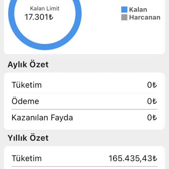 CIO Kurumsal Çözümler Cio Petrolde Kalan Bakiyemi Alamıyorum