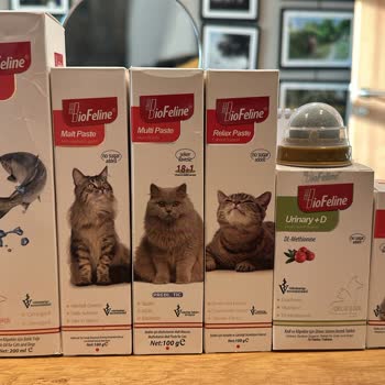 Kedim Biofeline Ürünlerini Ağzına Sürmedi