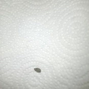 Cappy Saçmalığı Katı Bir Madde Taş Gibi