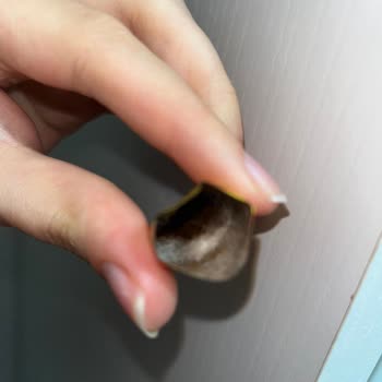 Lipton Tek Dem Küflü Çıktı!