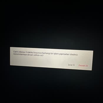 TP-Link Tapo Kamera Güvenlik Açığı, Bildirim Saçmalığı