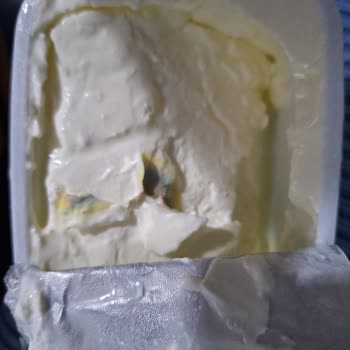 İçim Labne Peynirinde Küflenme Sorunu