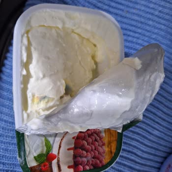 İçim Labne Peynirinde Küflenme Sorunu