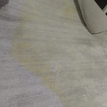 Apex Halı Leke Su Bile Olsa Halıdan Çıkmıyor