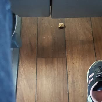 Nilüfer Turizm Otobüslerde Hizmet Sıfırın Altında