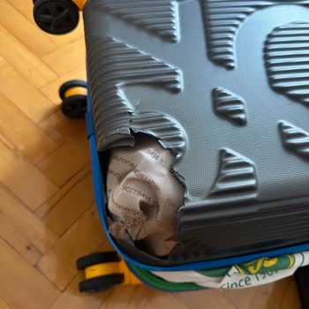 Müşterisinin Valizine Çöken Pegasus