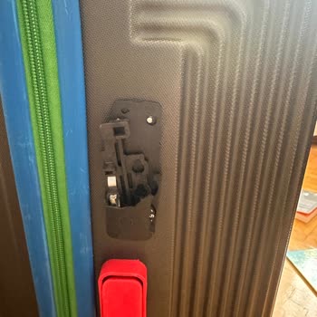 Müşterisinin Valizine Çöken Pegasus