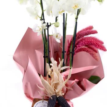 Taze Çiçek (tazecicek.com) Görseldeki Ürünle Aynı Değil, Müşteri Memnuniyeti Sıfır