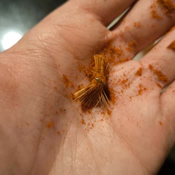 Bağdat Baharat İçerisinden Yabancı Cisim Çıktı.