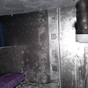 İnoksan Dondurucu Probleminde Kimseye Ulaşılamıyor İlgisiz Marka