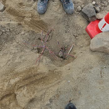 Bodrum Belediyesi Yaptığı Hatayı Düzelterek Mağduriyeti Gidermeli.