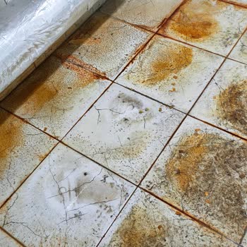 ECA. Kombi Servis Sıkıntısı