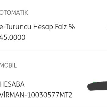 ING İngbank Faiz Oranıyla Oynama