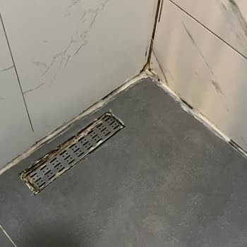 Sapanca Nora Pişmanlıktır