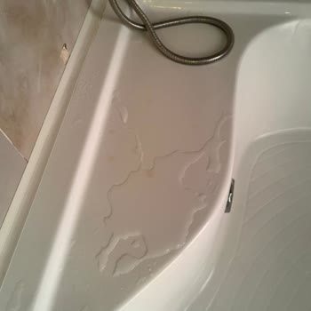 Sapanca Nora Pişmanlıktır