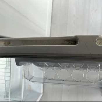 Sapanca Nora Pişmanlıktır